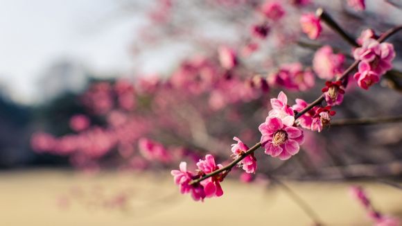 如何查看蓝牙版本