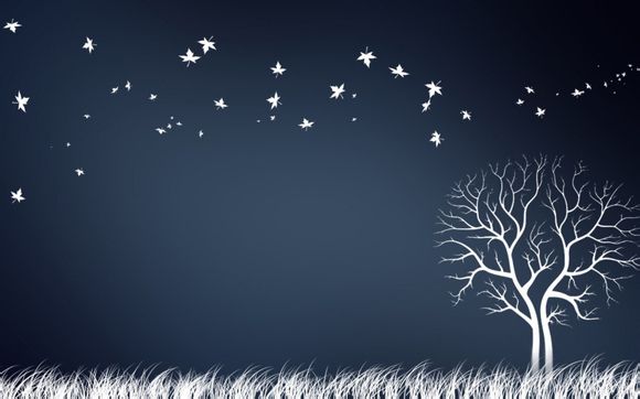 dreamlng是什么意思