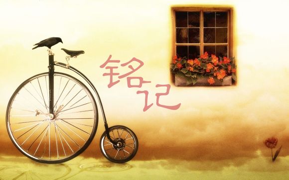 dream 是什么意思